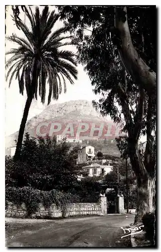 Cartes postales Vence la Jolie A M et chateau des Templiers