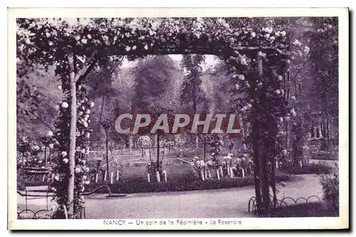 Cartes postales Nancy Un coin de la Pepiniere La Roseraie