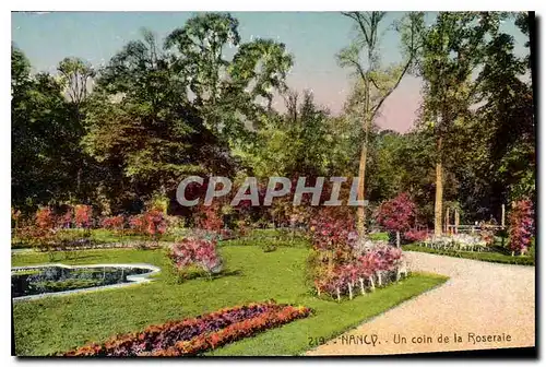 Cartes postales Nancy Un coin de la Roseraie