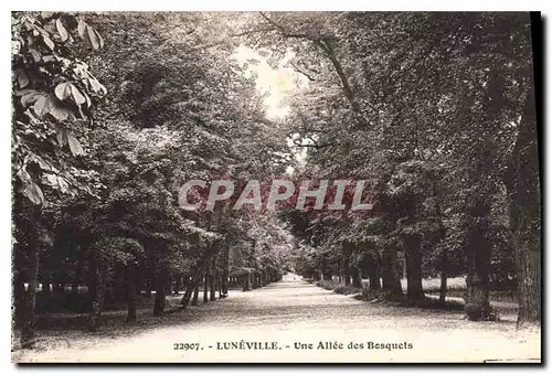 Cartes postales Luneville Une Allee des Bosquets