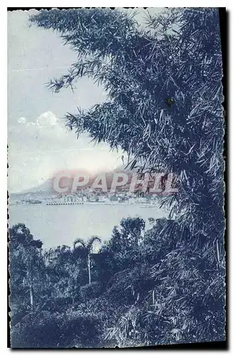 Cartes postales Menton vu des Jardins de Garavan