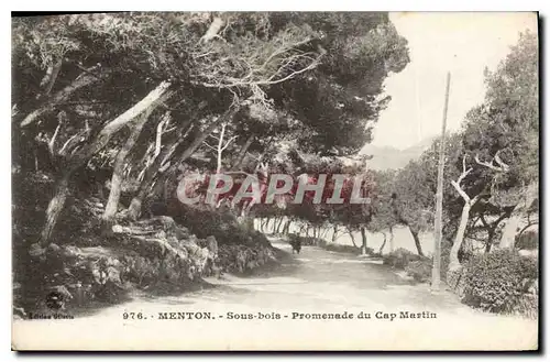 Cartes postales Menton Sous bois Promenade du Cap Martin