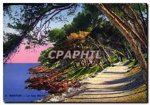 Cartes postales Menton Le Cap Martin