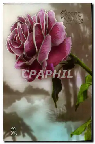 Cartes postales Bonne Fete Fleurs