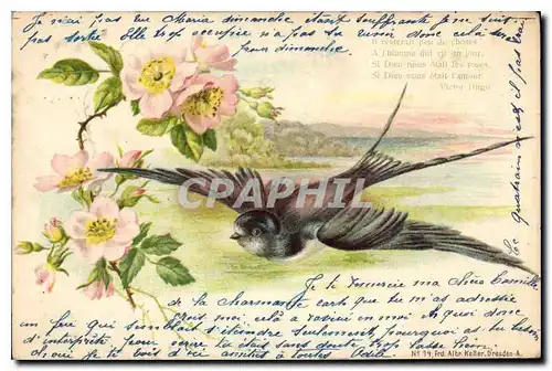 Cartes postales Fleurs Oiseau