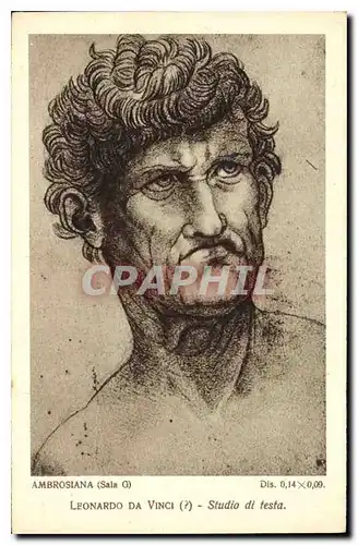 Cartes postales Ambrosiana Leonardo da Vinci