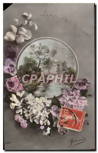 Cartes postales Souvenir de Miramont Fleurs