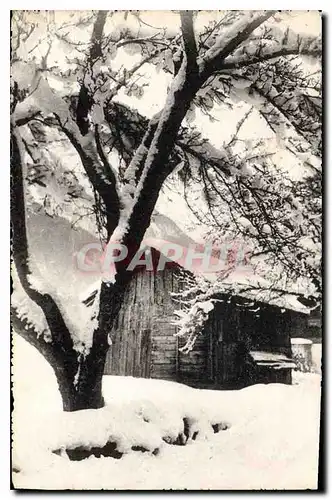 Cartes postales Cabane sous la neige
