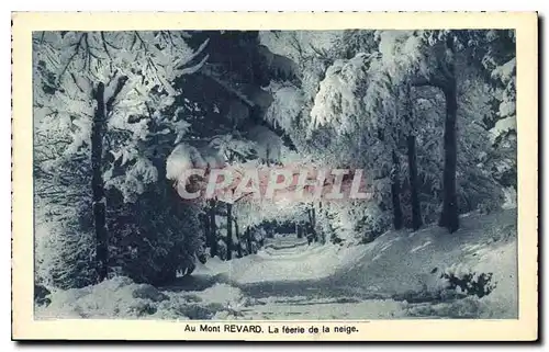 Cartes postales Au Mont Revard La feerie de la neige