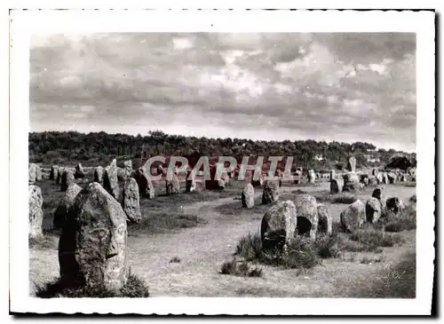 Cartes postales moderne Carnac Morbihan Bel ensemble des alignements du Menec monuments