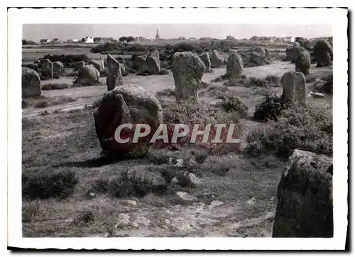 Cartes postales moderne Carnac Morbihan Alignements du Menec comprenant 1099 menhirs