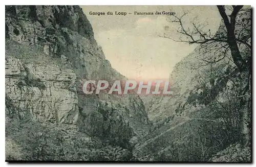 Cartes postales Gorges du Loup Panorama des Gorges