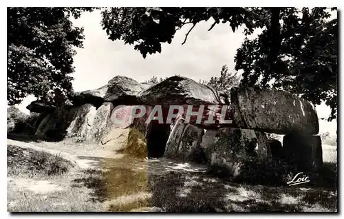 Ansichtskarte AK Esse la Roche aux Fees Monument Megalithique classe 2e de France cemagnifique dolmen est compose