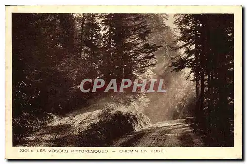 Ansichtskarte AK Les Vosges Pittoresque Chemin en Foret