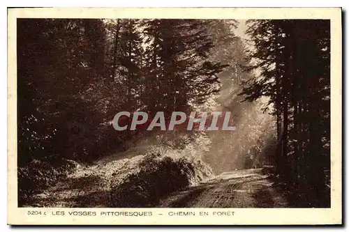 Cartes postales Les Vosges Pittoresque Chemin en Foret