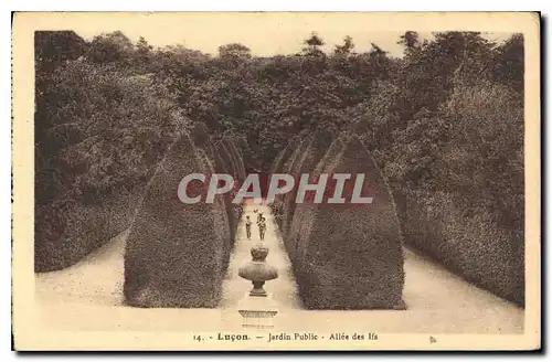 Cartes postales Lucon Jardin Public Allee des Ifs