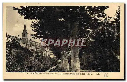 Cartes postales Amelie les Bains la Promenade de l'Hopital