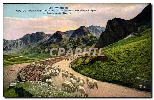 Ansichtskarte AK Les Pyrenees col du Tourmalet la Descente vers Gripp Artigue et Bagneres de Bigorre