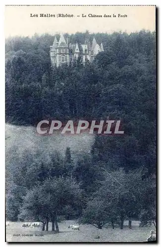 Cartes postales Les Halles Rhone le Chateau dans la Foret