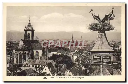 Cartes postales Colmar Nid de Cigognes