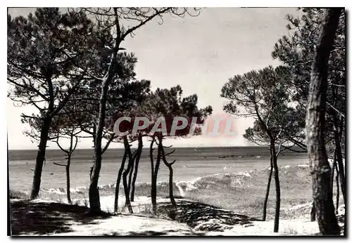 Ansichtskarte AK Ile de Normoutier Vendee l'Epine les Pins au Moulin de la Bosse