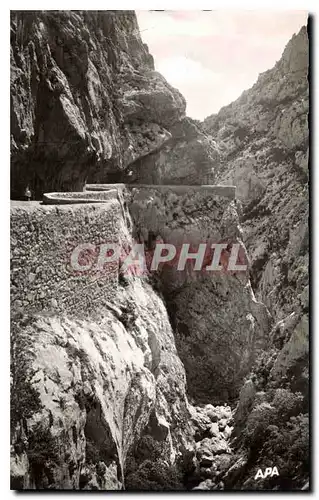 Cartes postales Les Gorges de Calamus