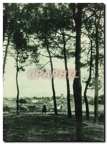 Cartes postales La Tranche sur Mer vue des bois de Pins