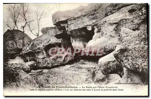 Ansichtskarte AK Foret de Fontainebleau la roche qui Pleure Franchard