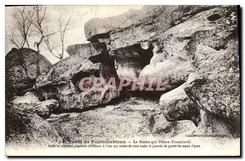 Cartes postales Foret de Fontainebleau la roche qui Pleure Franchard