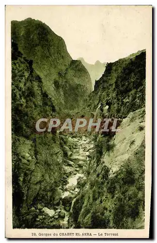 Cartes postales Gorges du Chabet el Akra Le Torrent