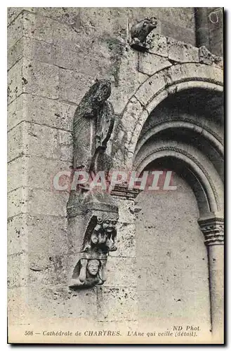 Cartes postales Cathedrale de Chartres L'Ane qui veille detail