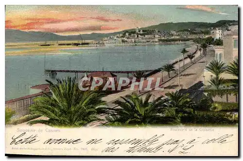 Cartes postales Souvenir de Cannes