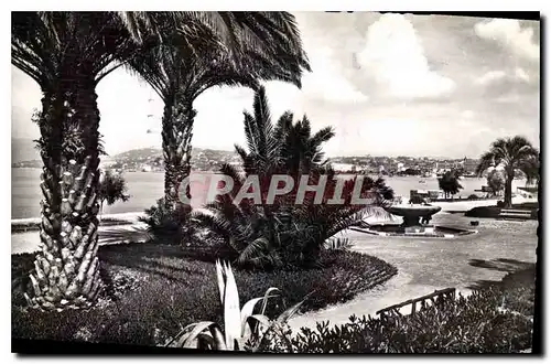 Cartes postales Cannes AM Le jardin du Casino