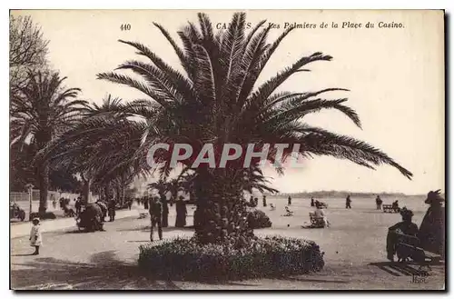 Cartes postales Cannes Les Palmiers de la Place du Casino