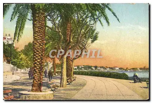 Cartes postales Cannes Promenade de la Croisette