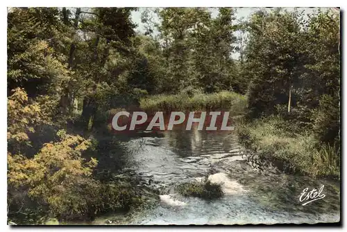 Ansichtskarte AK Essoyes Aube Les bords de l'Ource