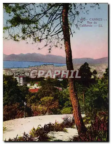 Cartes postales Cannes Vue de Californie