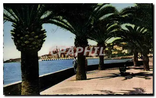 Cartes postales Menton AM vu de Garavan