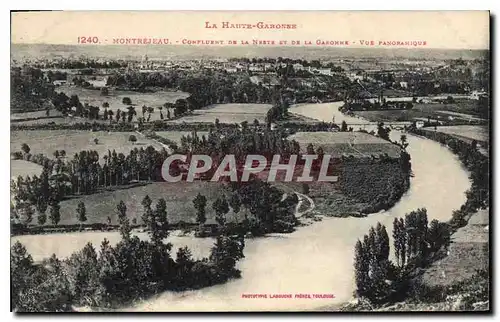 Cartes postales Montrejeau Confluent de la Neste et de la Garonne Vue Panoramique