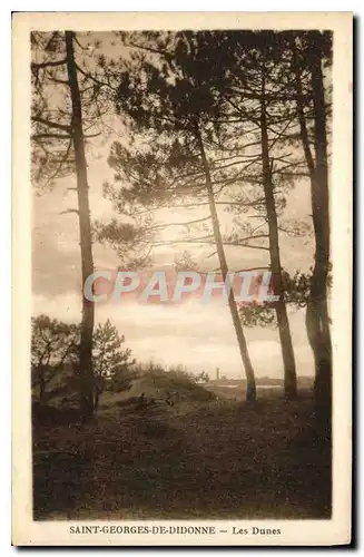 Cartes postales Saint Georges de Didonne Les Dunes