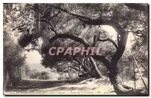 Cartes postales Le Bureau St Palais Cote d'Argent Route de la Corniche