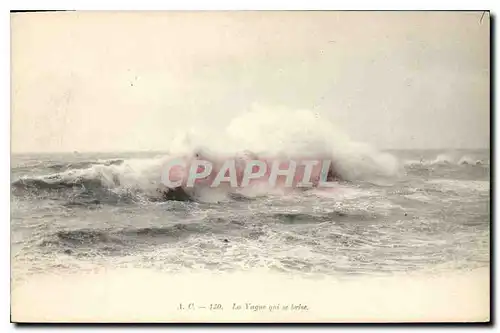 Cartes postales La Vague qui ve brise