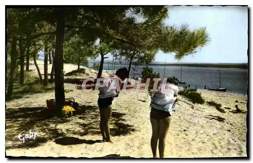 Cartes postales Ile de Re Che Mme Le Bois de Trousse Chemise