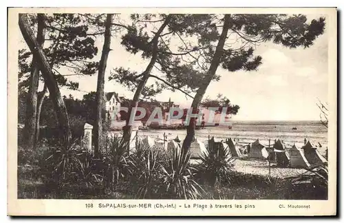 Cartes postales St Palais sur Mer Ch Inf La Plage a travers les pins