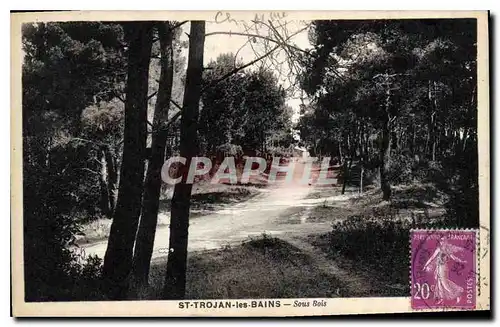 Ansichtskarte AK St Trojan les Bains Sous Bois