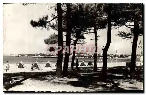 Cartes postales St Georges de Didonne La Plage a travers les pins