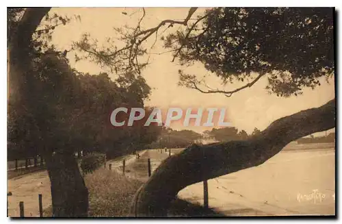 Cartes postales La Rochelle Promenade de la Concurrence