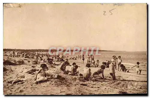 Cartes postales Maison Heurese Ile d'Oleron La Plage vers la foret