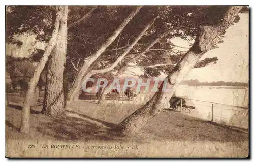 Cartes postales La Rochelle A travers les pins