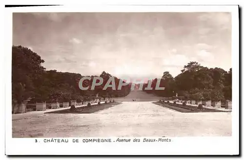 Cartes postales Chateau de Compiegne Avenue des Beaux Monts